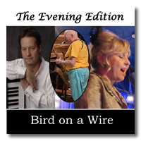 The Evening Edition - Bird on a Wire